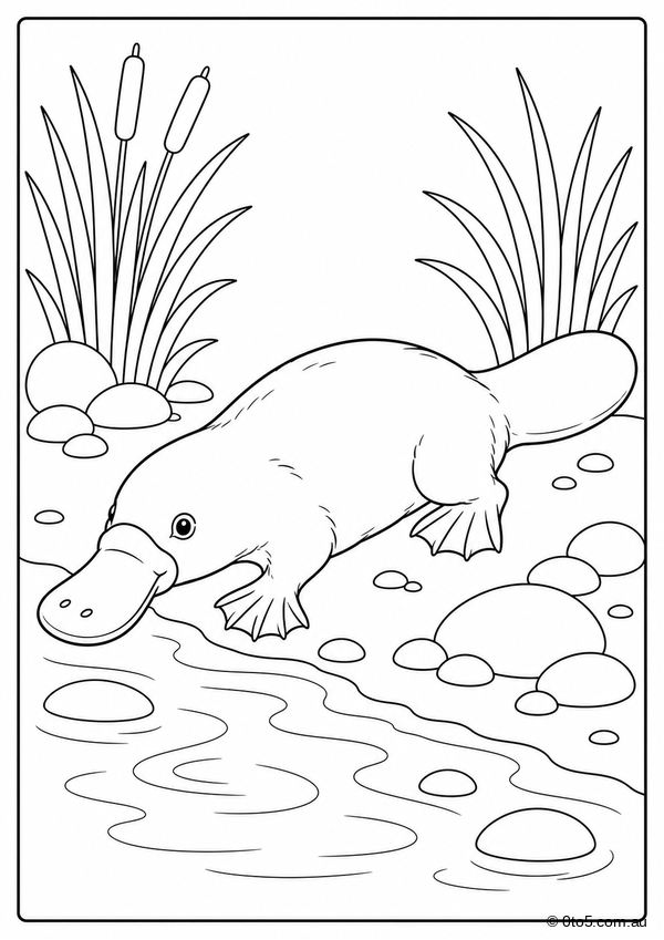 Australian Platypus Coloring Page thumbnail