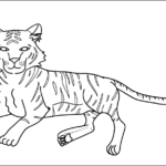 Tiger thumbnail