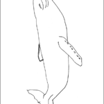 Whale Template thumbnail