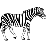 Zebra thumbnail