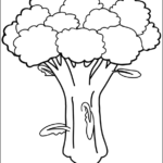 Vegetables thumbnail