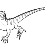 Australian Water Dragon thumbnail